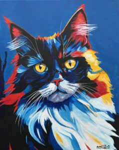 Chat me regarde